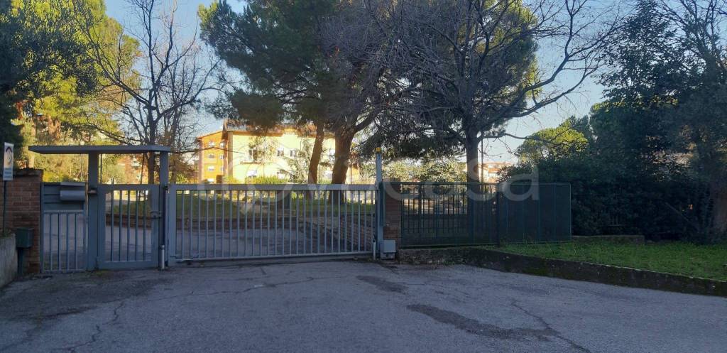 immagine annuncio 2 di 12