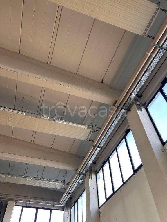 immagine annuncio 5 di 7