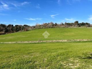 Terreno agricolo in vendita a tuscania località san giuliano