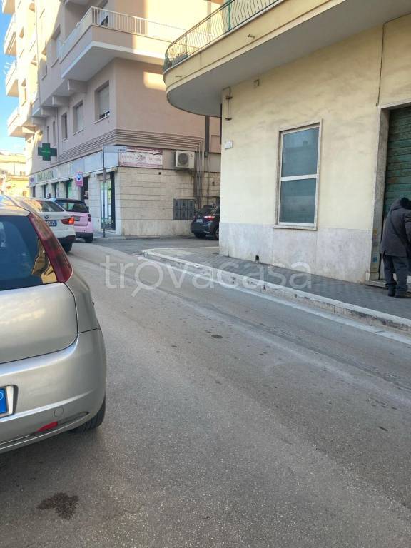 immagine annuncio 8 di 11
