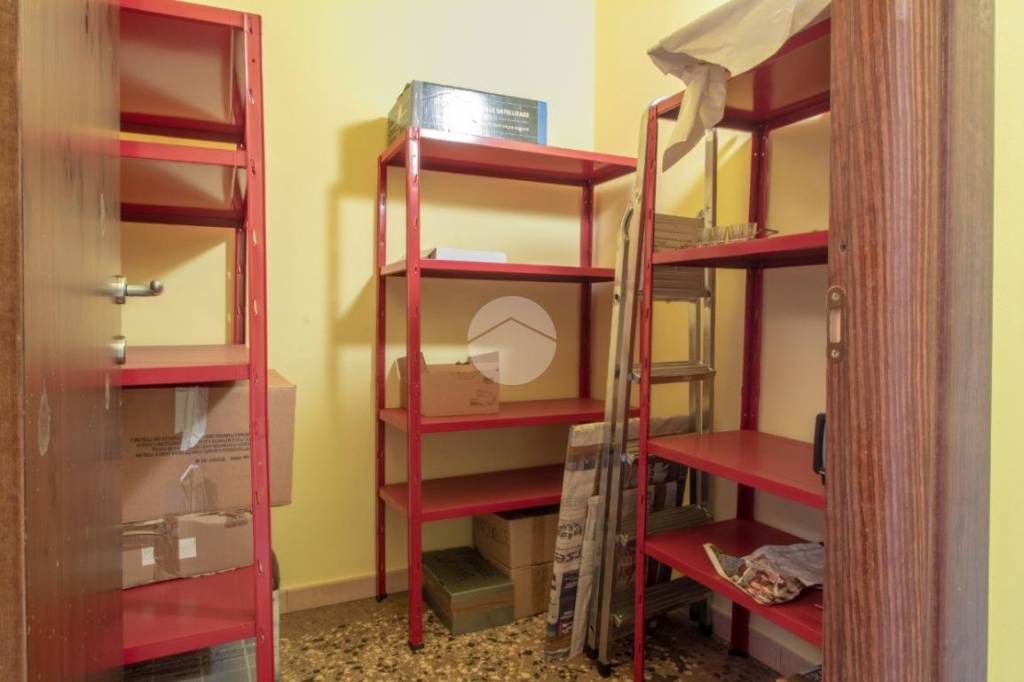 immagine annuncio 11 di 14