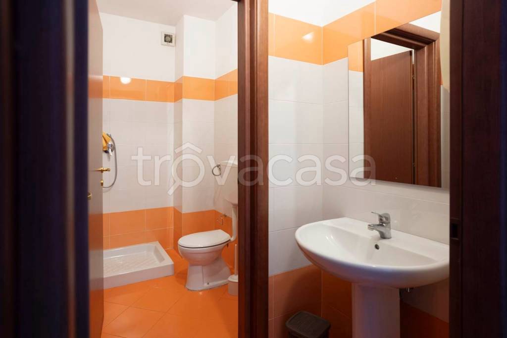 immagine annuncio 6 di 12