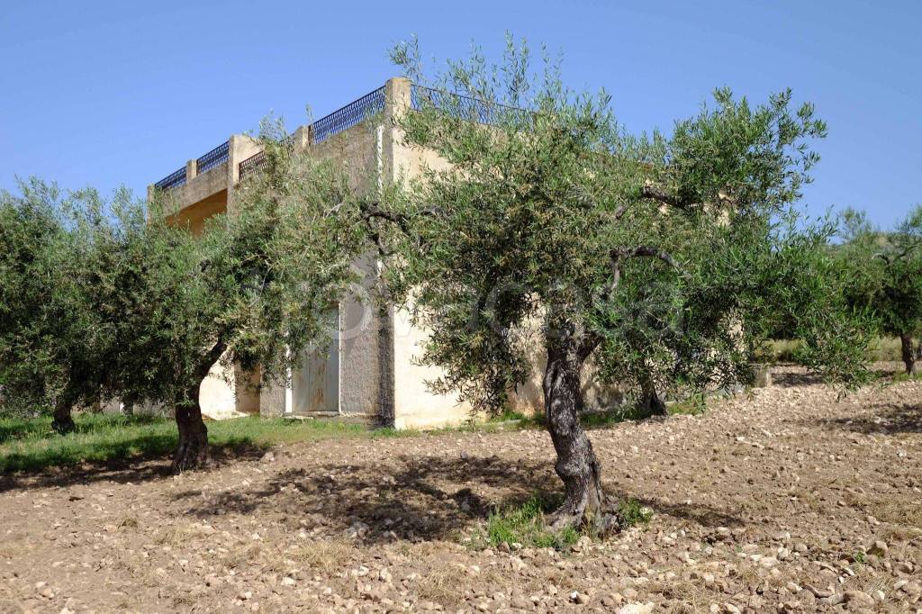 Villa Bifamiliare in in vendita da privato a San Giovanni Rotondo contrada Bracale