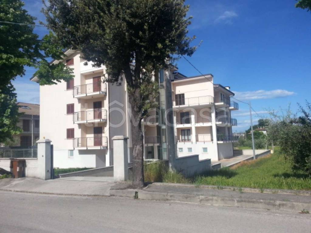 immagine annuncio 5 di 12