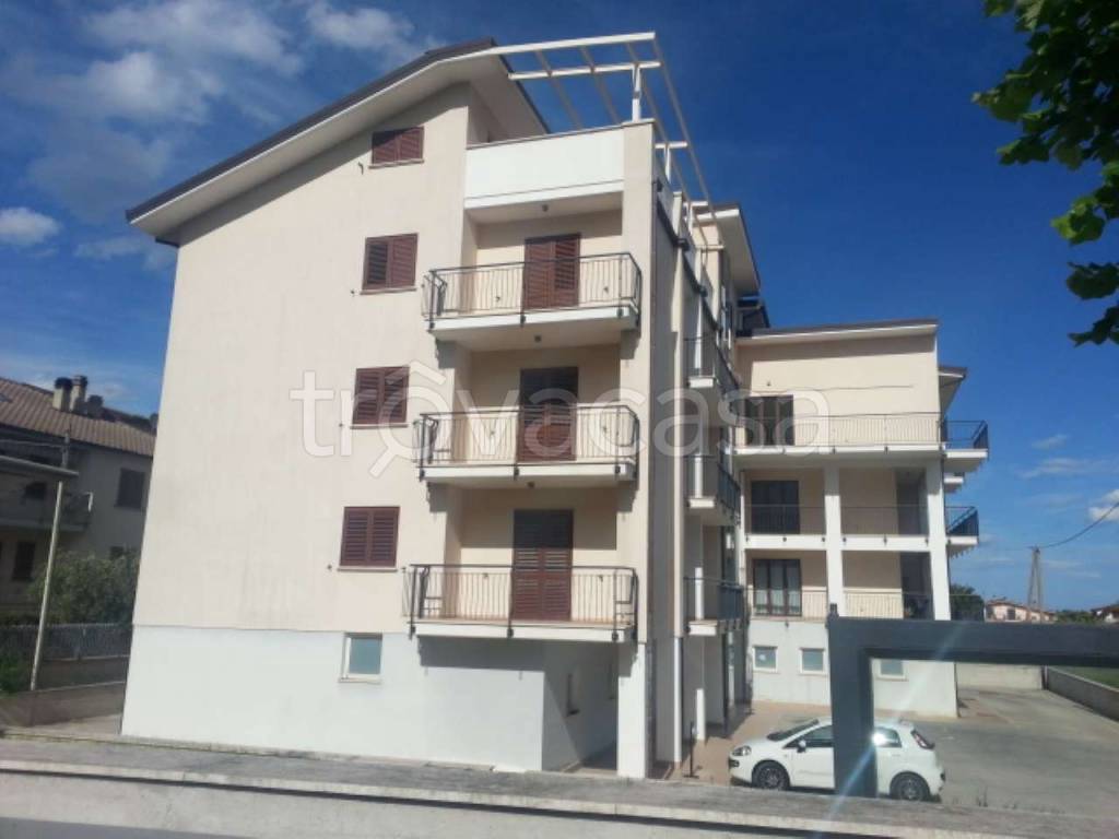 immagine annuncio 6 di 12