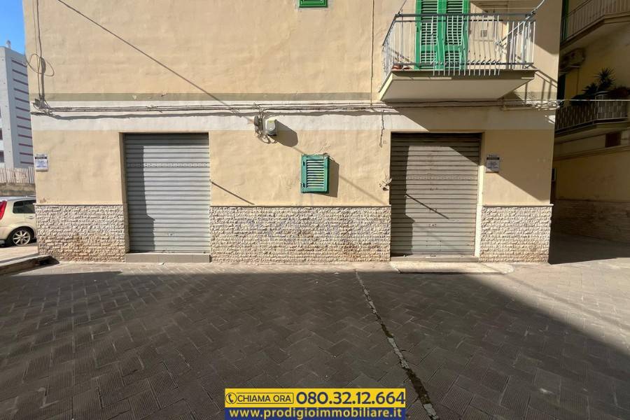 immagine annuncio 12 di 14