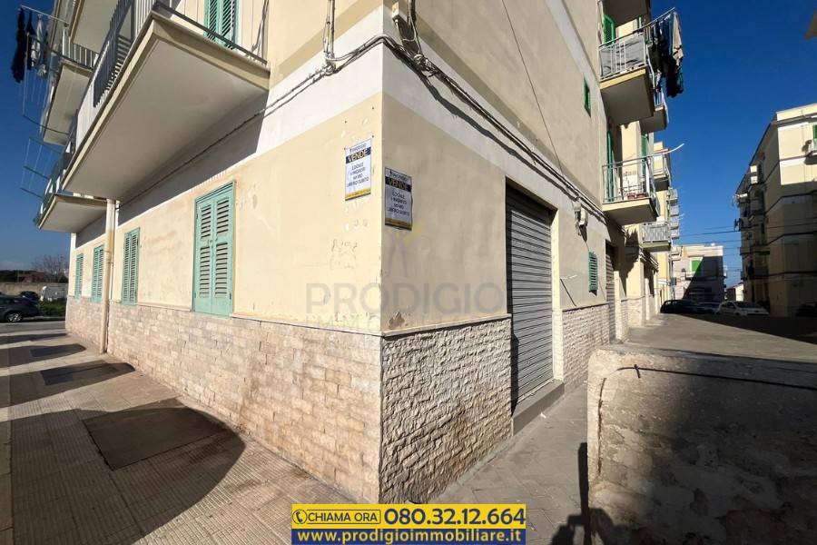 immagine annuncio 13 di 14
