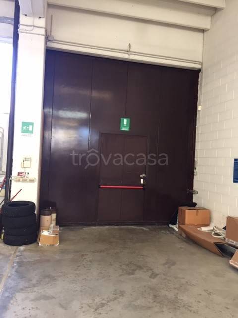 immagine annuncio 7 di 11