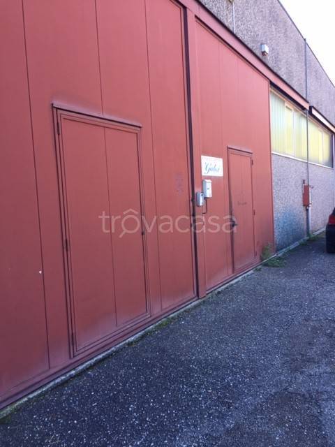 immagine annuncio 9 di 11