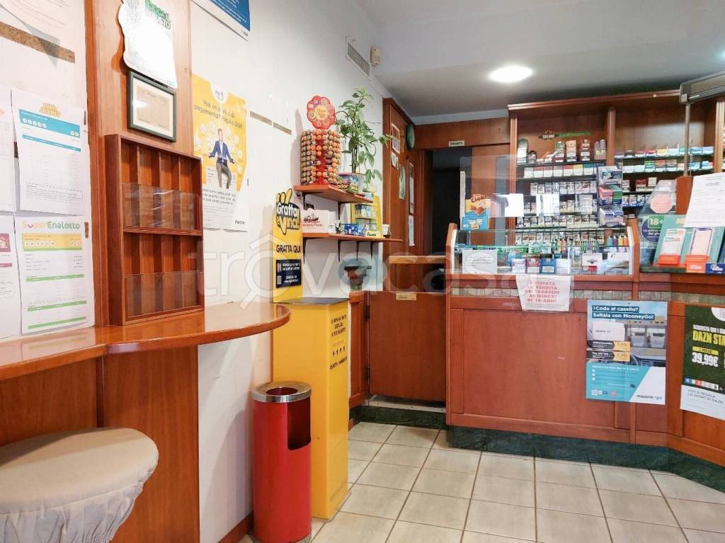 immagine annuncio 2 di 14