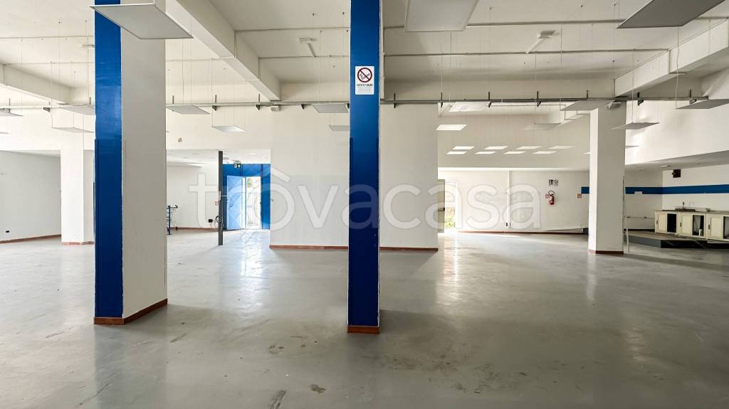 immagine annuncio 5 di 14