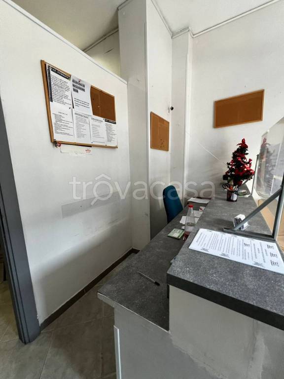 immagine annuncio 2 di 12