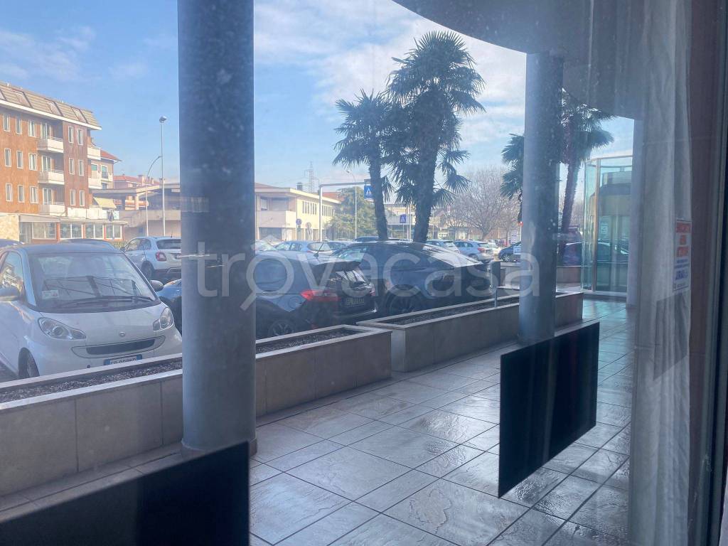 immagine annuncio 5 di 12