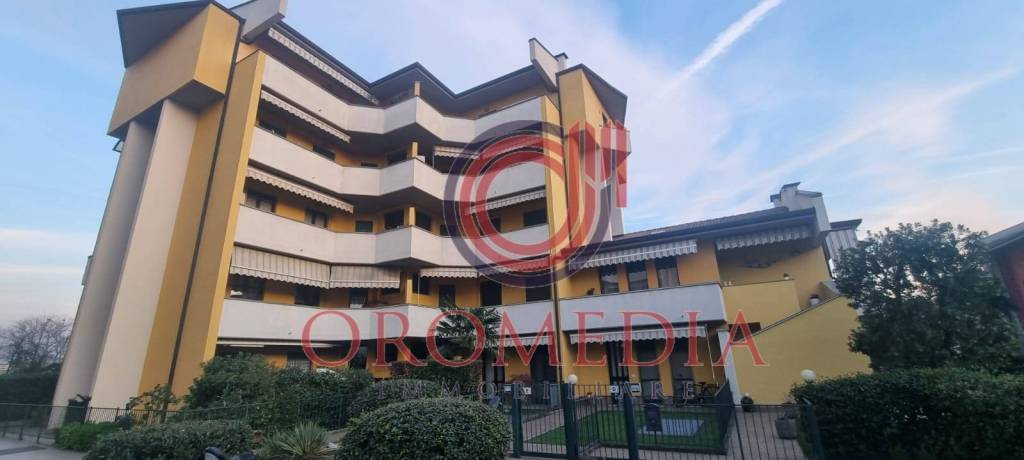 immagine annuncio 2 di 14