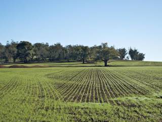 Terreno agricolo in vendita a latina 