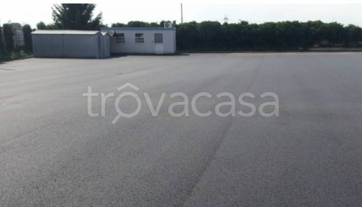 immagine annuncio 3 di 6