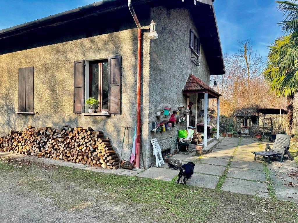 immagine annuncio 3 di 15