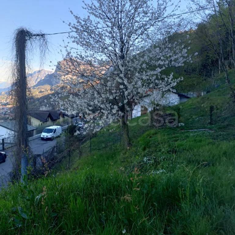 immagine annuncio 5 di 7