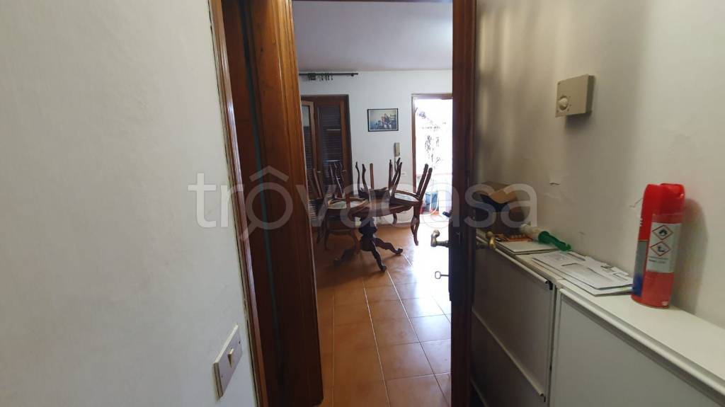 immagine annuncio 9 di 14