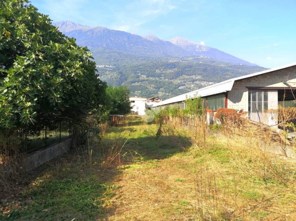Terreno Agricolo in affitto a Cosio Valtellino via Don Luigi Guanella, 32
