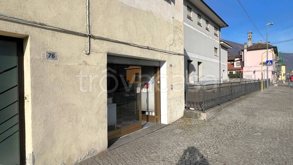 immagine annuncio 12 di 13