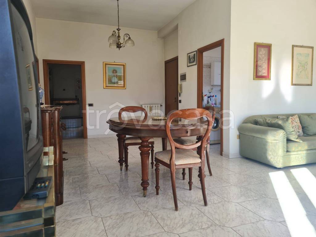 immagine annuncio 2 di 14