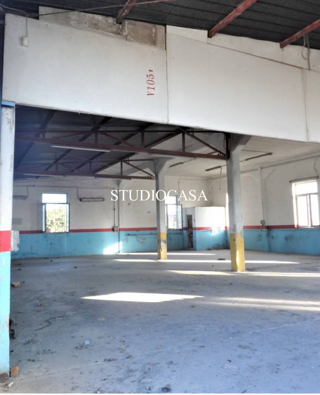 immagine annuncio 3 di 7