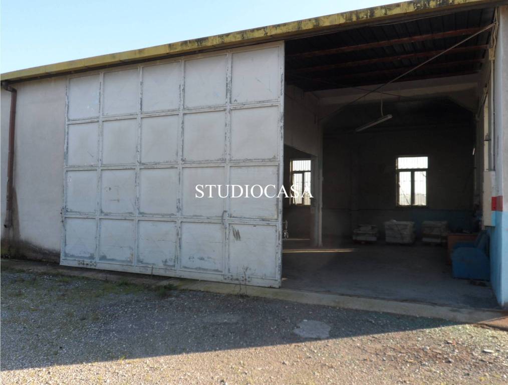 immagine annuncio 4 di 7