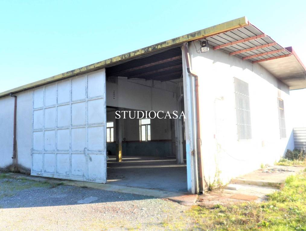 immagine annuncio 6 di 7