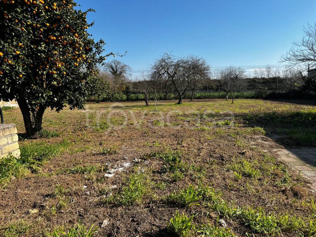 Terreno Agricolo in vendita a Giugliano in Campania via Ripuaria, 47