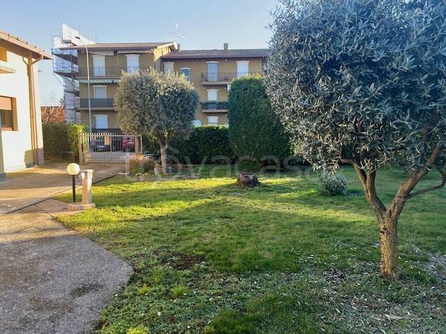 immagine annuncio 11 di 14