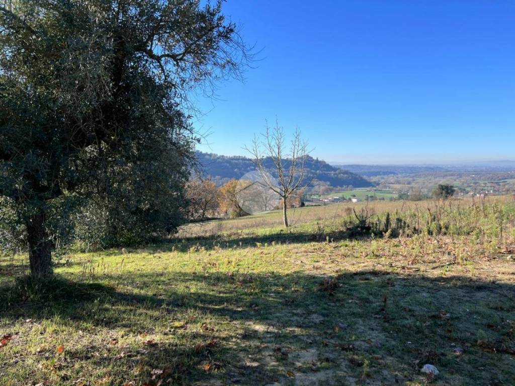 immagine annuncio 6 di 12