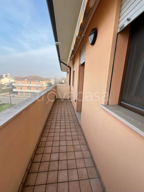 immagine annuncio 10 di 14