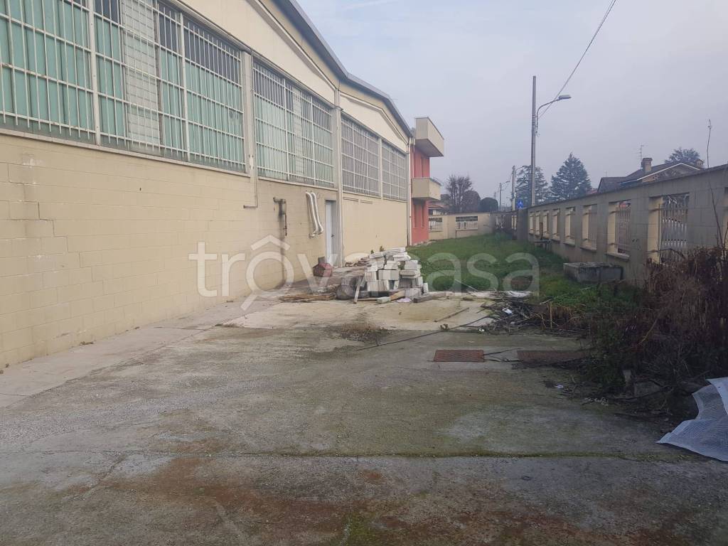 immagine annuncio 6 di 15