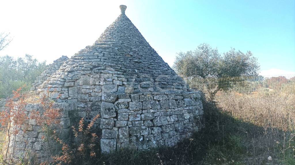 immagine annuncio 5 di 14