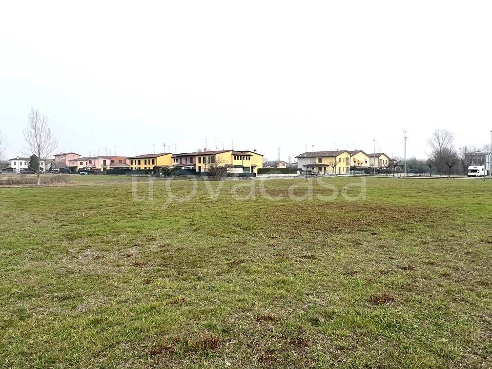 immagine annuncio 4 di 12