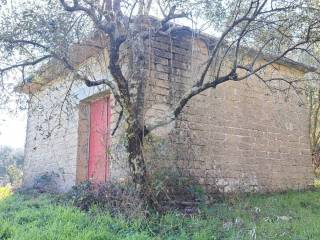 Terreno agricolo in vendita a sgurgola via ravetta, 1