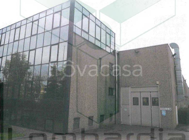 immagine annuncio 5 di 15