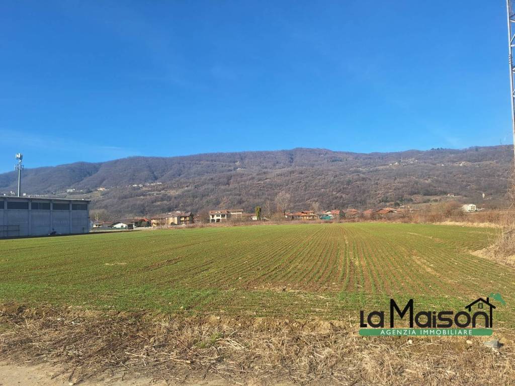 immagine annuncio 4 di 8