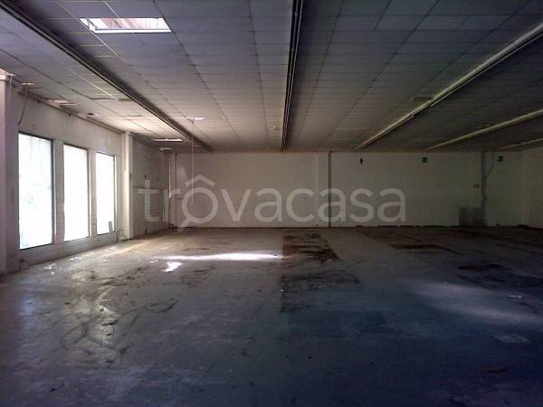 immagine annuncio 6 di 8