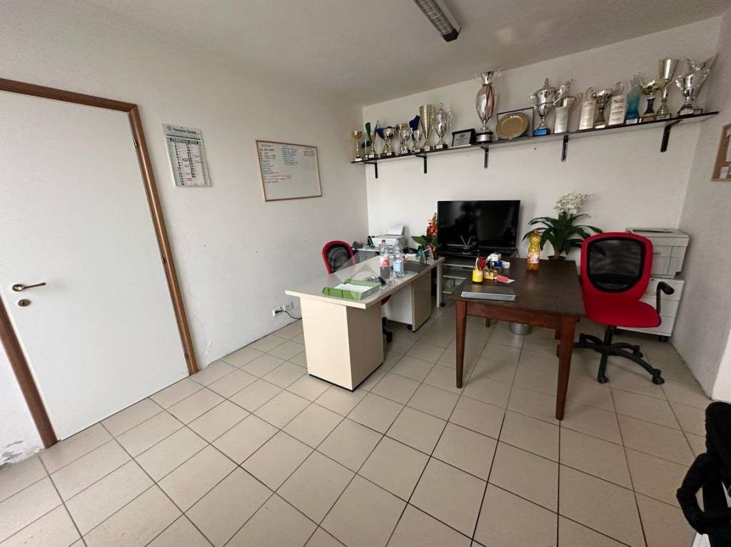 immagine annuncio 7 di 14