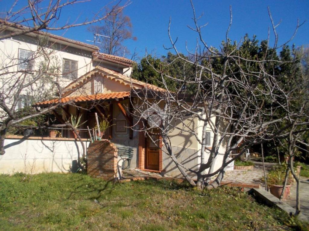 immagine annuncio 5 di 14