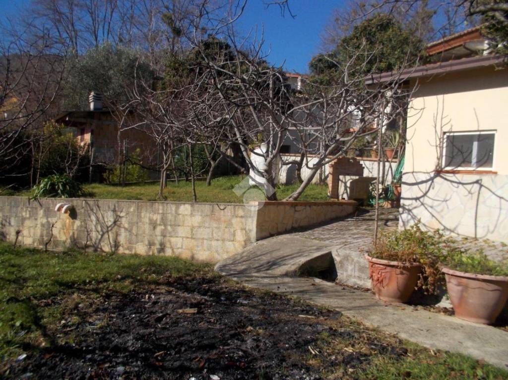 immagine annuncio 6 di 14