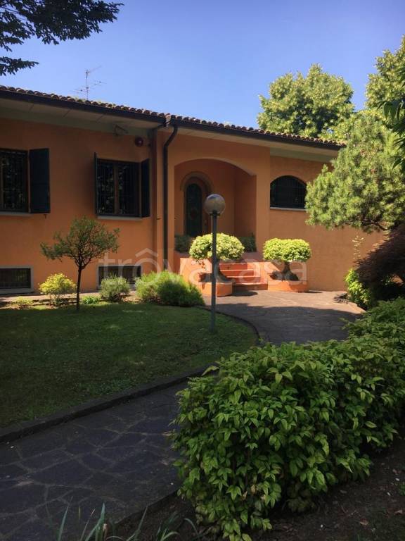 immagine annuncio 5 di 6