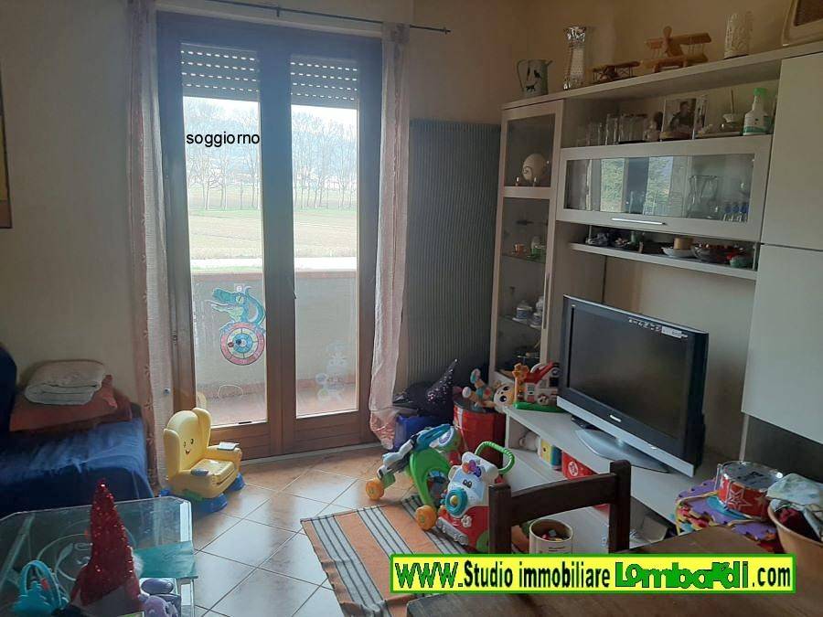 immagine annuncio 3 di 14