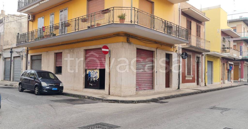 immagine annuncio 5 di 14