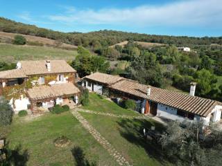 Azienda agricola in vendita a capalbio via della ficona, 30