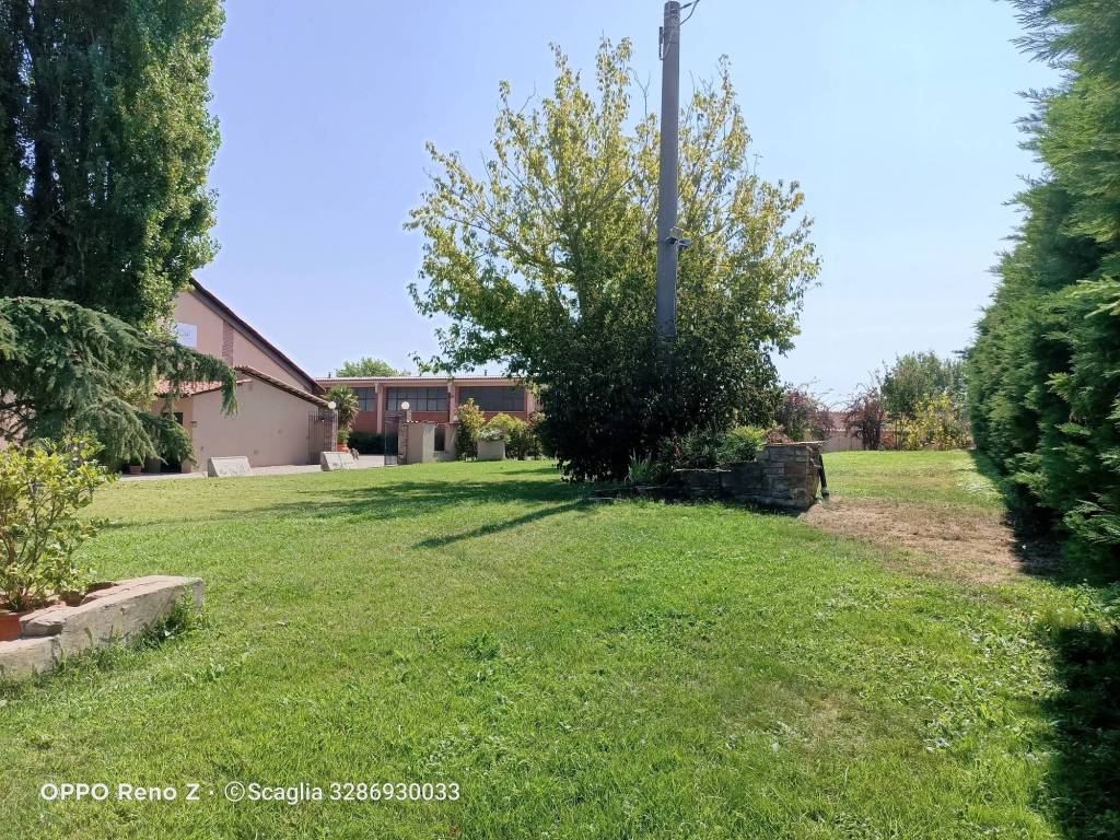 immagine annuncio 11 di 15