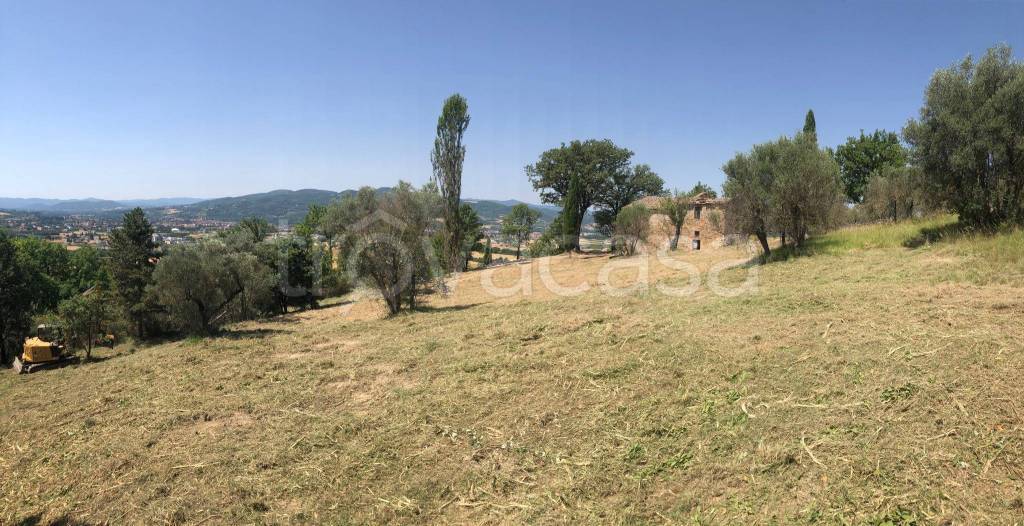 immagine annuncio 4 di 11