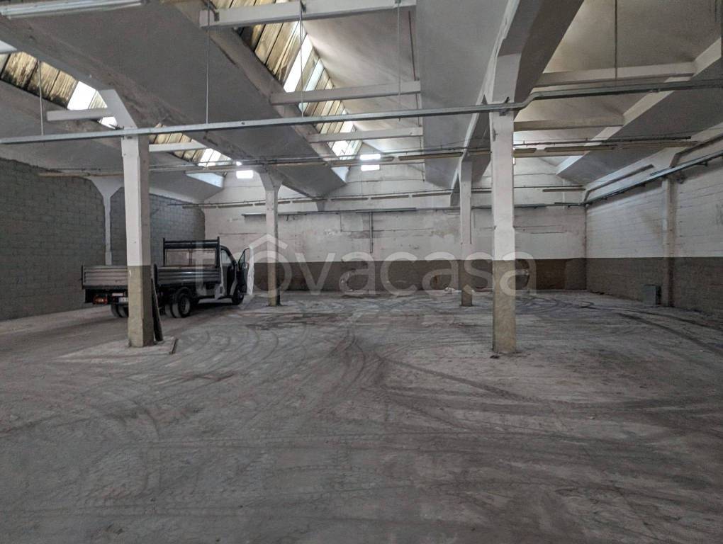 immagine annuncio 3 di 11